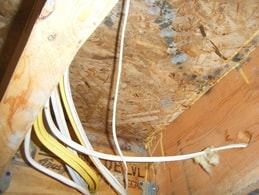 Mold growth on the ceiling rafters as a result of a pipe burst