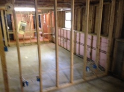 Walls taken down to the studs and treated as part of mold remediation