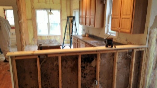 Mold remediation process in bank owned foreclosure