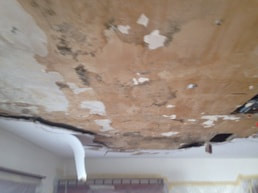 Water damaged ceiling resulting in mold in Schenectady, NY home