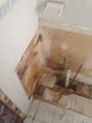 Mold growth behind a bathroom sink in Schenectady, NY