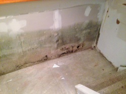 Mold growth on walls in Clifton Park NY home