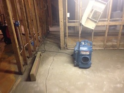 Air scrubbers remove mold spores from air in mold plagued home