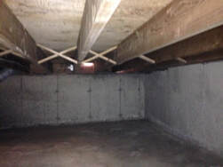 Crawl Space Mold Removal