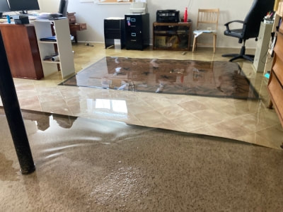 Flooded basement office.