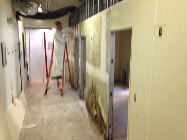 Mold remediation in progress at Kingston business.