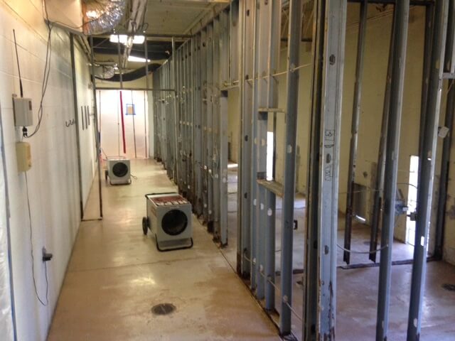 Air scrubbers were placed throughout the area to remove airborne mold spores.