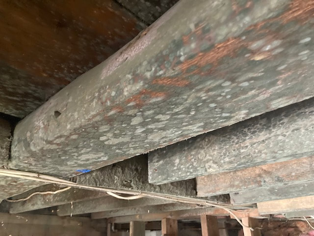 mold growth on rafters in basement