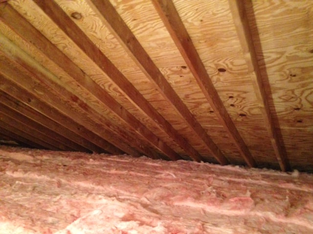 attic mold remediation, installed insulation