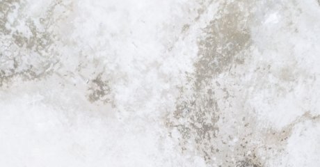white mold on a white background
